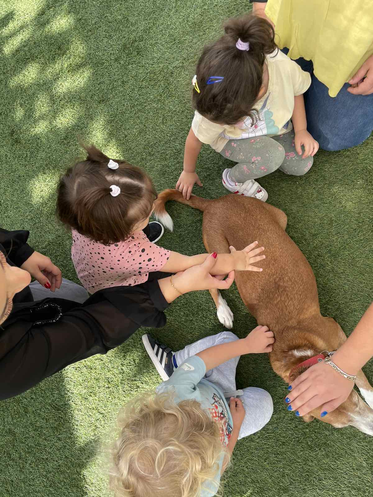 Παιδικός σταθμός και νηπιαγωγείο - Homieschool - Γλυφάδα