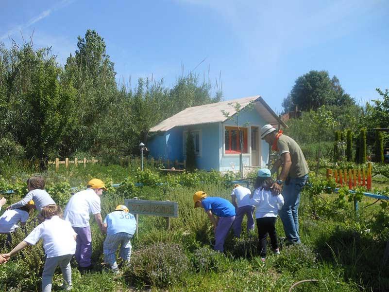 Παιδικός σταθμός και νηπιαγωγείο - “Γλυκές Φατσούλες” - Άλιμος