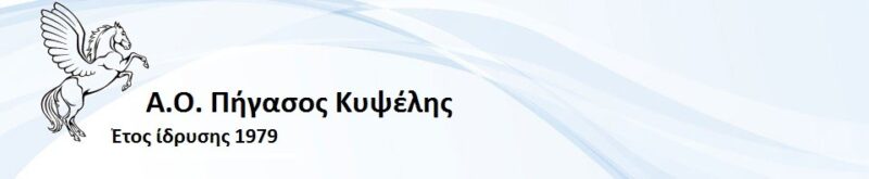 Ακαδημία Πολυαθλητική – "Α.Ο. Πήγασος Κυψέλης" – Κυψέλη