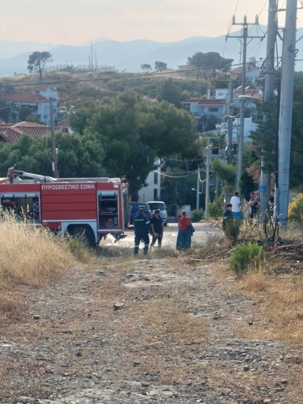 Σχολή Κολύμβησης – "Δημοτικό Κολυμβητήριο Μελισσίων (Δ.Α.Κ.)" – Μελίσσια