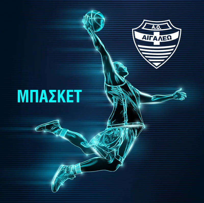 Ακαδημία Βόλεϊ