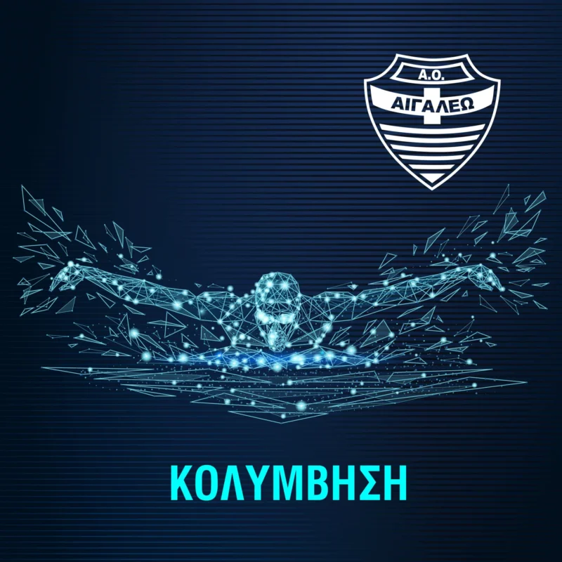 Ακαδημία Βόλεϊ