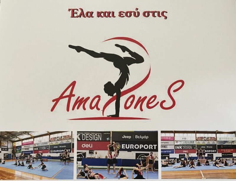 Ενόργανη Γυμναστική