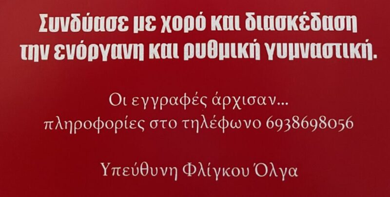 Ενόργανη Γυμναστική